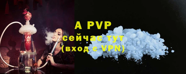 apvp Пересвет