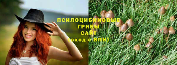 apvp Пересвет