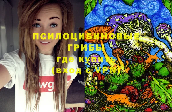 скорость Пестово
