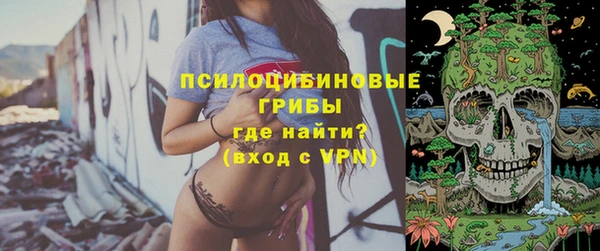 скорость Пестово