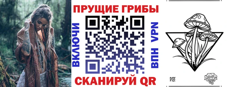 Галлюциногенные грибы Magic Shrooms  нарко площадка состав  Красноярск  дарнет шоп 
